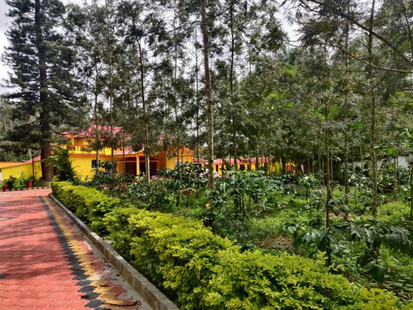 Coffeebean Villa - Unwind & Rejuvenate Sakleshpur Buitenkant foto