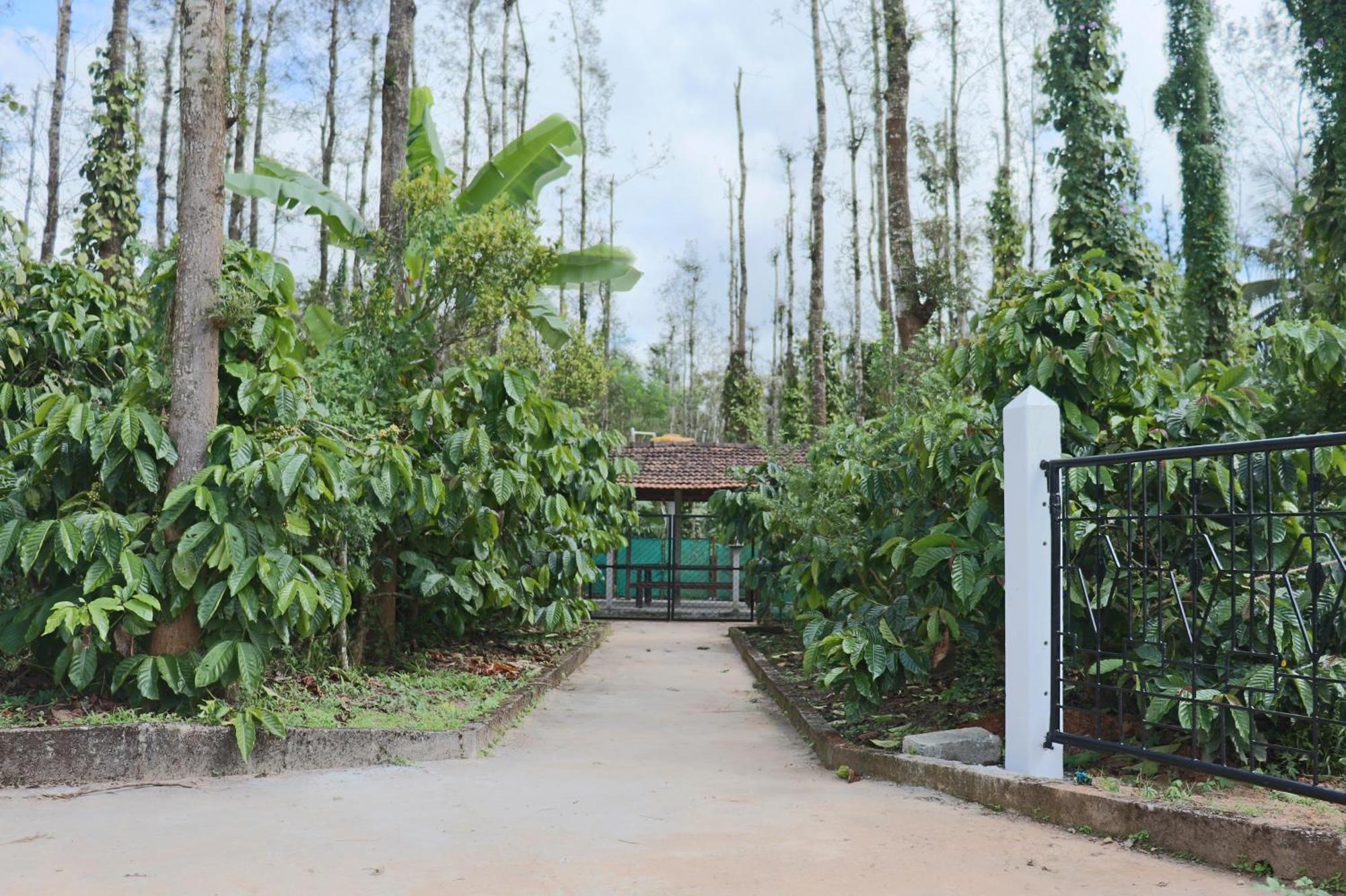 Coffeebean Villa - Unwind & Rejuvenate Sakleshpur Buitenkant foto